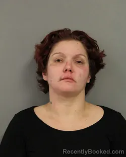 Recent Mugshot Image for CELIA DOREEN SERBAN in Cook County, Illinois