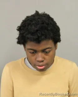 Recent Mugshot Image for LATASHA FARMER in Cook County, Illinois