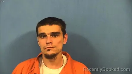 Recent Mugshot Image for ANDREW MIERWA in DuPage County, Illinois