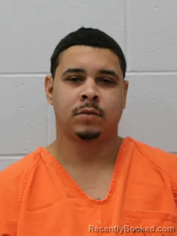 Recent Mugshot Image for KYLE S NEWSOME in Franklin County, Illinois