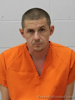 Recent Mugshot Image for DAVID A ROSENAU in Franklin County, Illinois