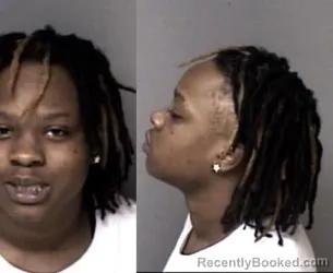 Recent Mugshot Image for Willniah Latashia Meeks in Gaston County, North Carolina