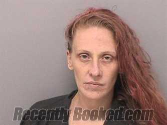 Recent Mugshot Image for ELIZABETH J HART in Jefferson County, Illinois