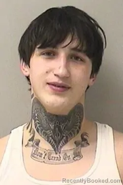 Recent Mugshot Image for LOGAN R THOMAS in Kane County, Illinois