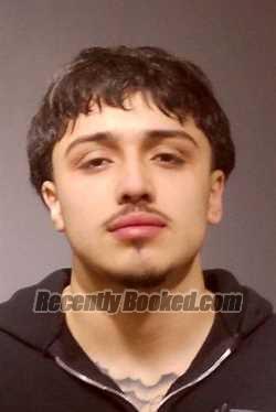 Recent Mugshot Image for EFRAIN JR ROSALES in Kendall County, Illinois