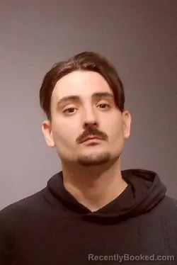 Recent Mugshot Image for MICHAEL JAMES DERGANCE in Kendall County, Illinois