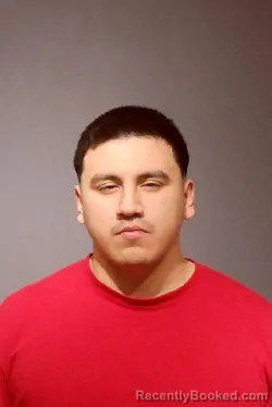Recent Mugshot Image for DAVID ANTHONY HERNANDEZ in Kendall County, Illinois