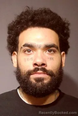 Recent Mugshot Image for MICHAEL ANTHONY GOUGIS in Kendall County, Illinois