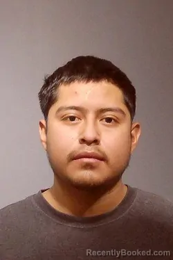 Recent Mugshot Image for GERMAN RAMIREZ in Kendall County, Illinois