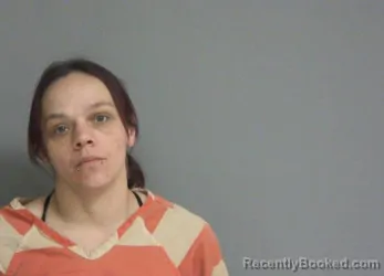 Recent Mugshot Image for TARA LYNN JOHNSON in La Salle County, Illinois