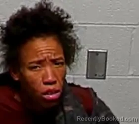 Recent Mugshot Image for MYRA V ANDERSON in Lake County, Illinois