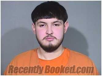 Recent Mugshot Image for ANGEL CARBAJAL in McHenry County, Illinois