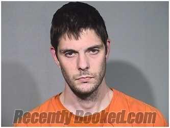 Recent Mugshot Image for ALEXANDER HORVATH in McHenry County, Illinois