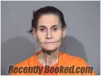 Recent Mugshot Image for MICHELLE VILLAR in McHenry County, Illinois