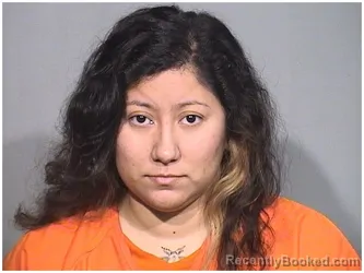 Recent Mugshot Image for MENA RUIZ in McHenry County, Illinois