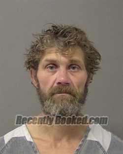 Recent Mugshot Image for MIKAEL JASON MCCLELLAND in Macon County, Illinois