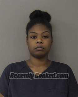 Recent Mugshot Image for TAYLOR NICOLE HUDSON in Macon County, Illinois