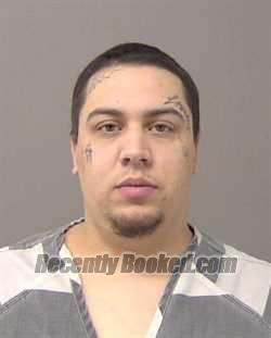 Recent Mugshot Image for TRISTIAN LOUIS TRUDEAU in Macon County, Illinois