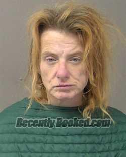 Recent Mugshot Image for MINDY LEE TERRY in Macon County, Illinois