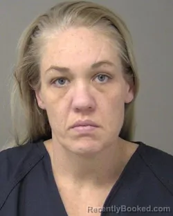 Recent Mugshot Image for HAYLEY RENEE DAVIS in Macon County, Illinois