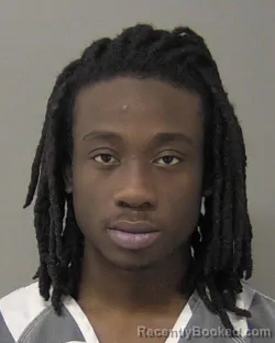 Recent Mugshot Image for JOEL HENRY NELLUM in Macon County, Illinois