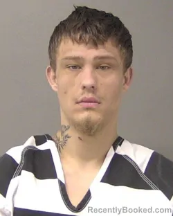 Recent Mugshot Image for LOGAN ALEXANDER FRELIGH in Macon County, Illinois