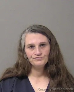 Recent Mugshot Image for SHEENA MARIE BROOKS in Macon County, Illinois