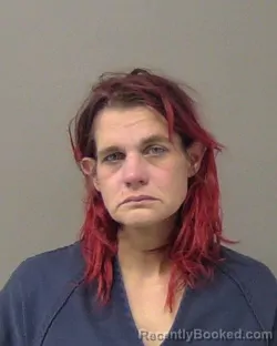 Recent Mugshot Image for AMY LYNN BUCHEN in Macon County, Illinois