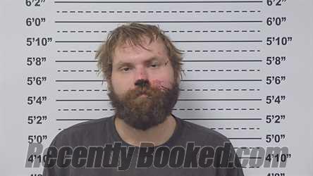 Recent Mugshot Image for LEVI TWICHELL in Macoupin County, Illinois