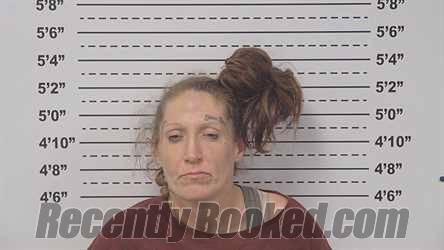 Recent Mugshot Image for JANELL TUMPACH in Macoupin County, Illinois