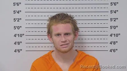 Recent Mugshot Image for NATHANIEL SPANN in Macoupin County, Illinois