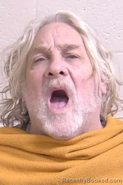 Recent Mugshot Image for WILLIAM MCKAY in Madison County, Illinois