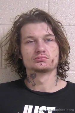 Recent Mugshot Image for CHRISTIAN THEBEAU in Madison County, Illinois