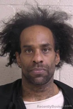 Recent Mugshot Image for BRANDON FLETCHER in Madison County, Illinois