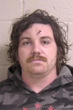 Recent Mugshot Image for TYLER MCDONNELL in Madison County, Illinois