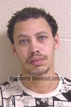 Recent Mugshot Image for JAMES MEES in Madison County, Illinois