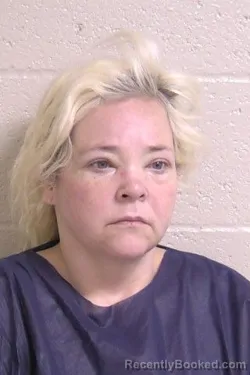 Recent Mugshot Image for LISA KEPPLER in Madison County, Illinois