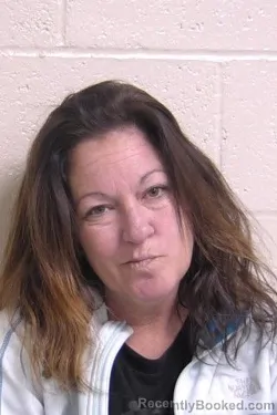 Recent Mugshot Image for JAIME FREY in Madison County, Illinois