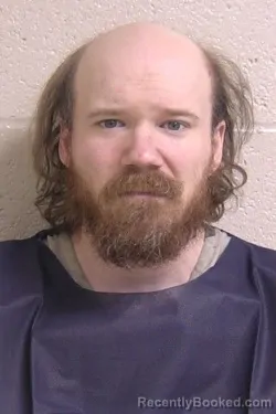 Recent Mugshot Image for JAMES WATSON in Madison County, Illinois