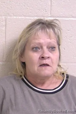 Recent Mugshot Image for SHEILA BARNETT in Madison County, Illinois