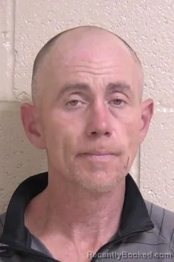 Recent Mugshot Image for MICHAEL LYNCH in Madison County, Illinois