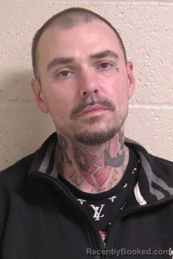 Recent Mugshot Image for JOSHUA SHAW in Madison County, Illinois