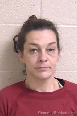 Recent Mugshot Image for TIFFANY BROOKS in Madison County, Illinois