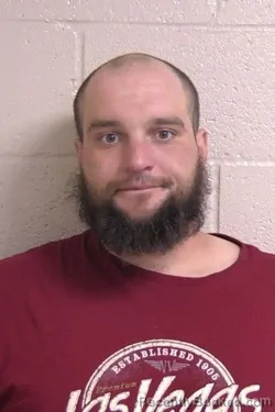 Recent Mugshot Image for MICAH CLEVENGER in Madison County, Illinois