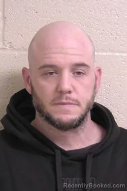 Recent Mugshot Image for MICHAEL CHERRY in Madison County, Illinois