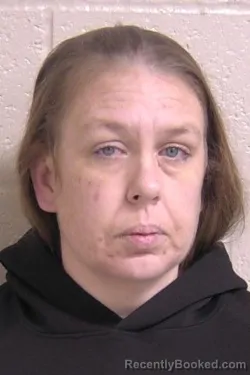 Recent Mugshot Image for AMANDA HOTZ in Madison County, Illinois