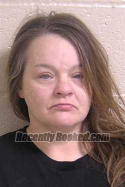 Recent Mugshot Image for SUSAN SCHNEIDER in Madison County, Illinois