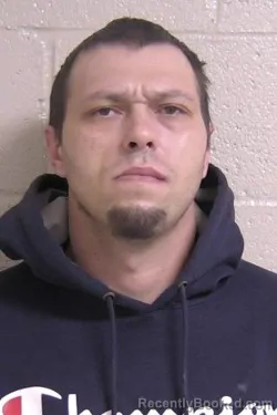 Recent Mugshot Image for DALTON STONE in Madison County, Illinois