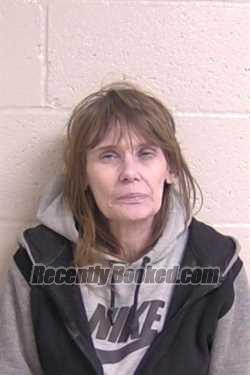 Recent Mugshot Image for JANET HARVEY in Madison County, Illinois