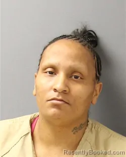 Recent Mugshot Image for ERIKA SHAVONNE HUNT in Guilford County, North Carolina